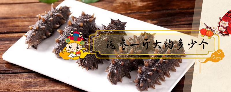 海参一斤大约多少个（一斤海参多少个）