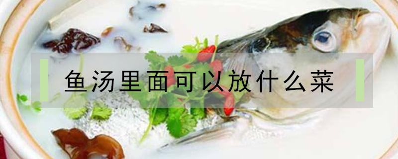 鱼汤里面可以放什么菜 酸菜鱼汤里面可以放什么菜