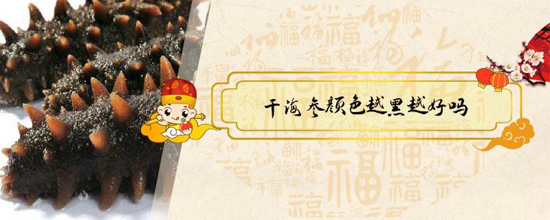 干海参颜色越黑越好吗(干海参是黑色的好啊还是褐色的好)