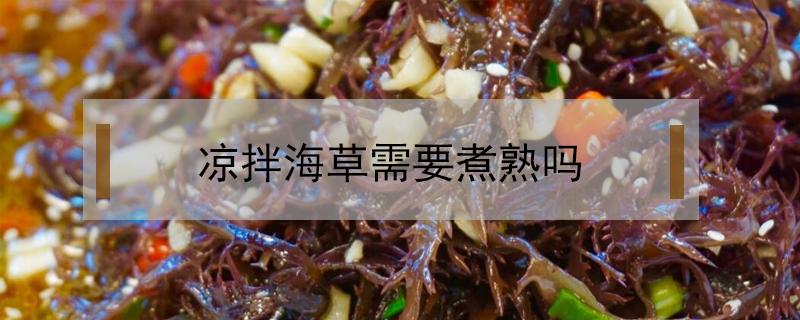 凉拌海草需要煮熟吗 凉拌海草冷冻后需要煮熟吗