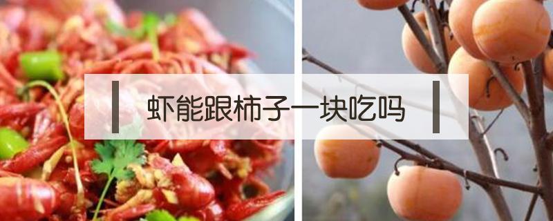 虾能跟柿子一块吃吗（虾和柿子能在一块儿吃吗）