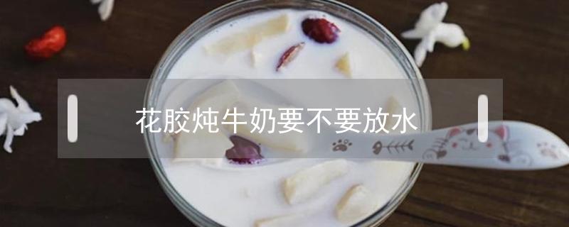 花胶炖牛奶要不要放水 花胶炖牛奶加水还是不加水