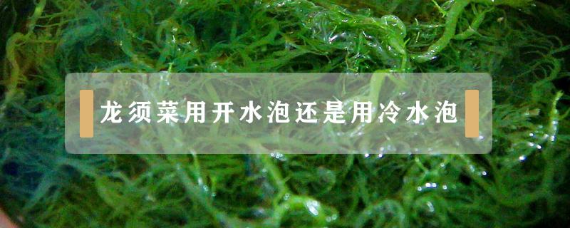 龙须菜用开水泡还是用冷水泡 龙须菜是用开水泡,还是冷水泡?