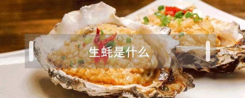 生蚝是什么（生蚝是什么季节吃最好）