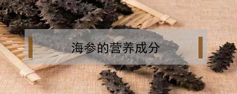 海参的营养成分 海参的营养价值