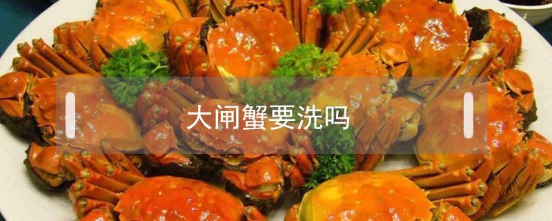 大闸蟹要洗吗（大闸蟹用洗么）