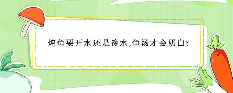 炖鱼要开水还是冷水,鱼汤才会奶白? 鱼炖白汤是加热水还是冷水