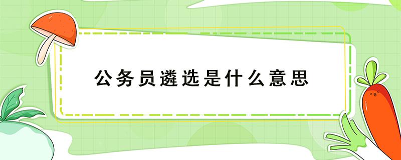 公务员遴选是什么意思 公务员 遴选 什么意思