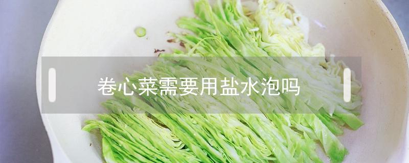 卷心菜需要用盐水泡吗 卷心菜可以用盐水泡吗?