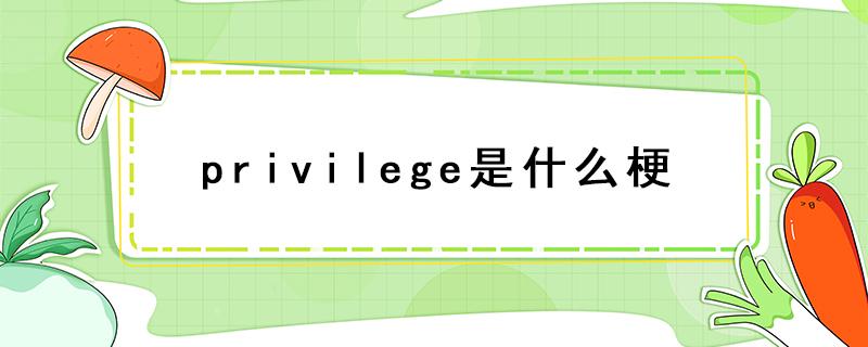 privilege是什么梗