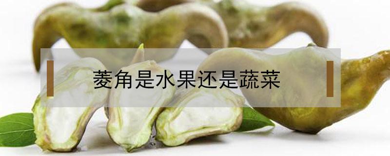 菱角是水果还是蔬菜 菱角是蔬菜还是瓜果