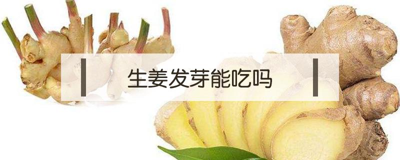 生姜发芽能吃吗 生姜发芽能吃吗有毒吗