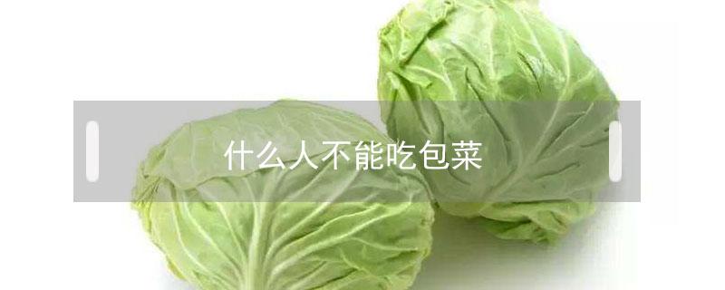 什么人不能吃包菜（什么人不可以吃包菜）