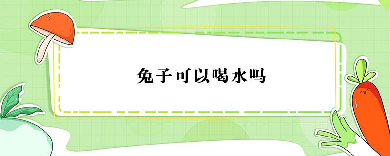 兔子可以喝水吗 一个多月的兔子可以喝水吗