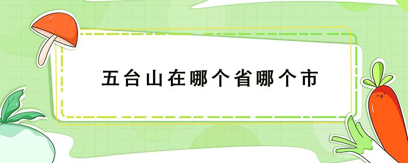 五台山在哪个省哪个市（五台山在哪个省哪个市哪个区）