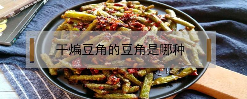 干煸豆角的豆角是哪种 干煸豆角的豆角是哪种豆角