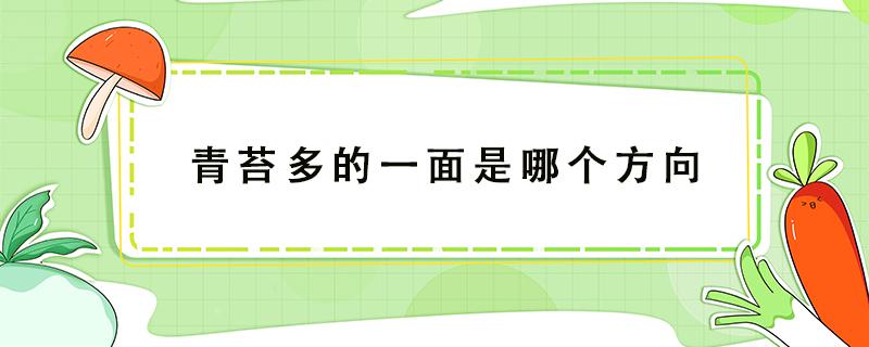 青苔多的一面是哪个方向 青苔多的一面是什么方向