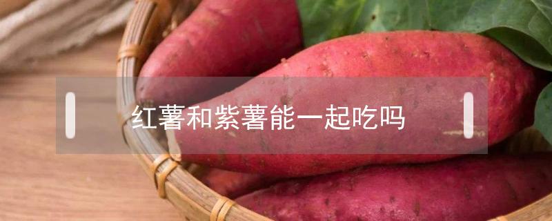 红薯和紫薯能一起吃吗(红薯和紫薯可以一起吃么)