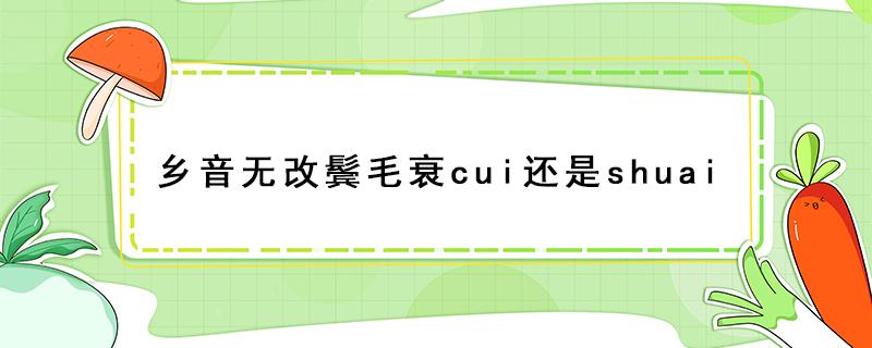 乡音无改鬓毛衰cui还是shuai