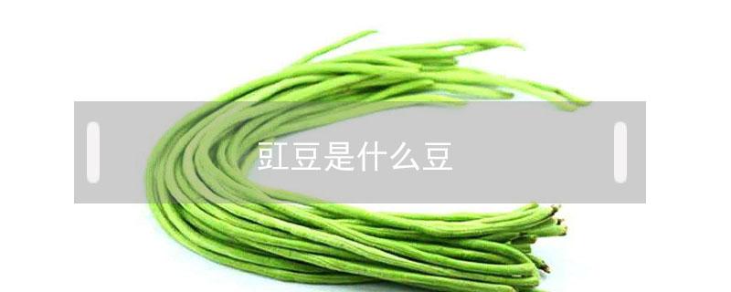 豇豆是什么豆 能煮粥的豇豆是什么豆