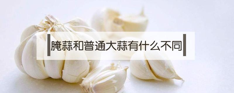 腌蒜和普通大蒜有什么不同（生蒜和腌制的蒜,性味功用的区别）