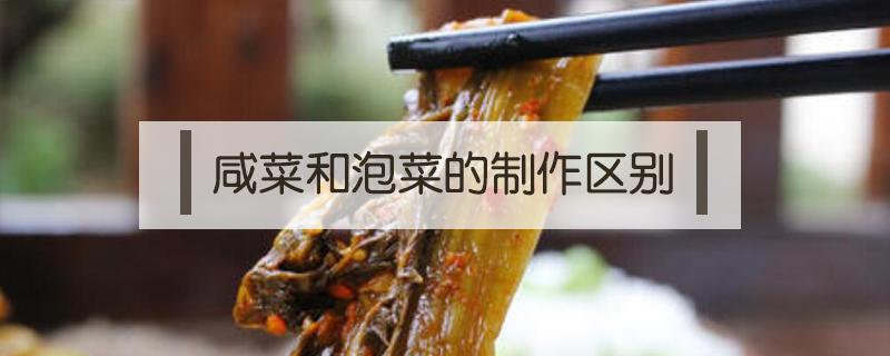 咸菜和泡菜的制作区别 咸菜与泡菜的区别