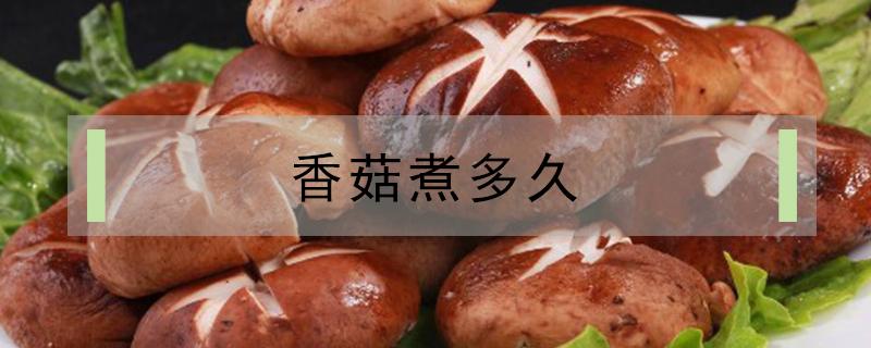 香菇煮多久 香菇煮多久能熟