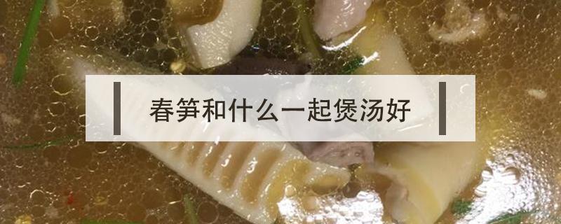 春笋和什么一起煲汤好 春笋和什么一起做汤好喝