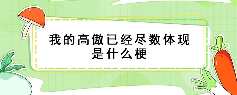 我的高傲已经尽数体现是什么梗