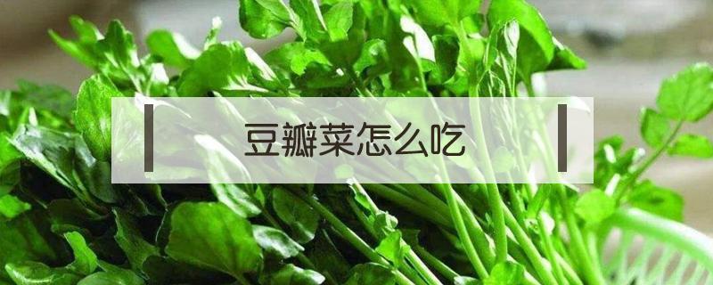 豆瓣菜怎么吃 豆瓣菜怎么吃饺子怎么做