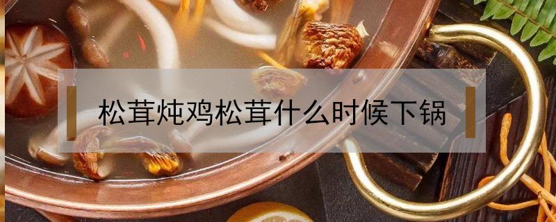 松茸炖鸡松茸什么时候下锅 鲜松茸炖鸡松茸什么时候下锅