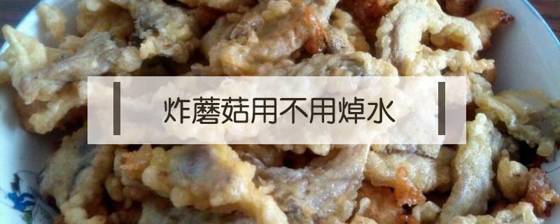 炸蘑菇用不用焯水（炸蘑菇蘑菇用不用焯水）