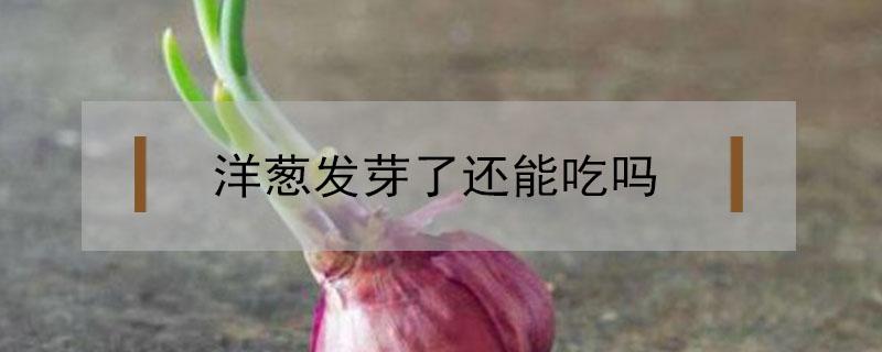 洋葱发芽了还能吃吗 洋葱发芽长出来像葱一样的可以吃吗