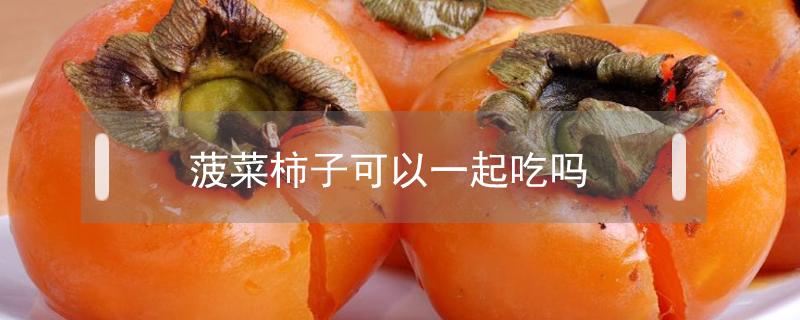 菠菜柿子可以一起吃吗 菠菜能和柿子一起吃吗?