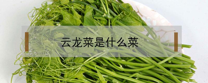 云龙菜是什么菜（云龙菜的俗称）