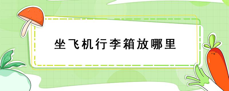 坐飞机行李箱放哪里 坐飞机行李箱放哪里的视频