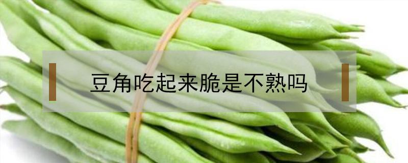 豆角吃起来脆是不熟吗 豆角吃的时候脆脆的是没熟吗