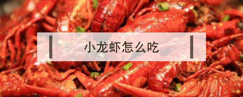 小龙虾怎么吃（小龙虾怎么吃法连头一起吃吗）
