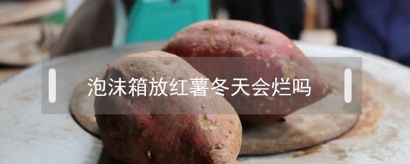 泡沫箱放红薯冬天会烂吗（冬天把红薯放在泡沫箱里面可以储存吗）