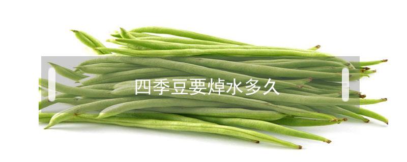 四季豆要焯水多久（四季豆要焯水多久才熟）