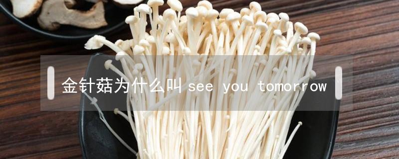 金针菇为什么叫see 金针菇为什么叫see u tomorrow