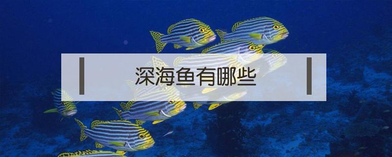 深海鱼有哪些