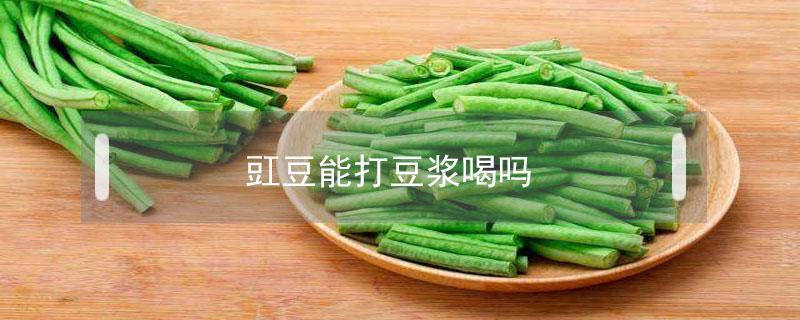 豇豆能打豆浆喝吗 豆种可以打豆浆喝吗