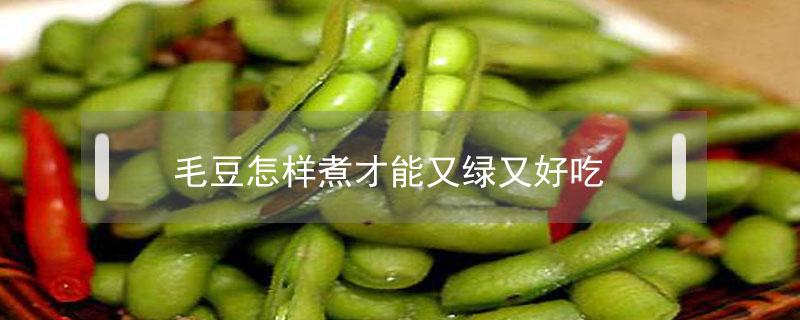 毛豆怎样煮才能又绿又好吃 麻辣毛豆怎样煮才能又绿又好吃