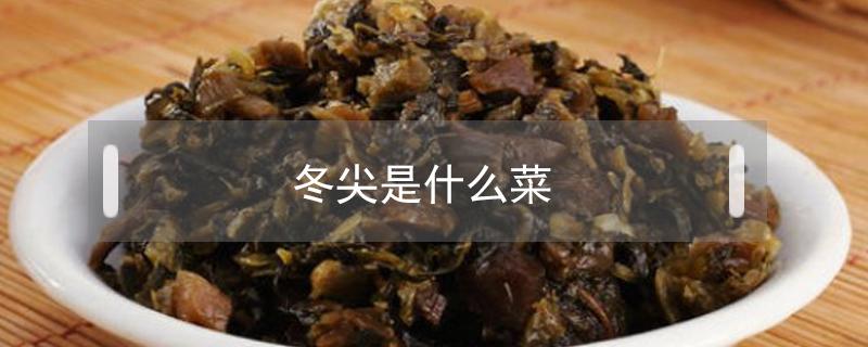 冬尖是什么菜（冬尖菜图片）