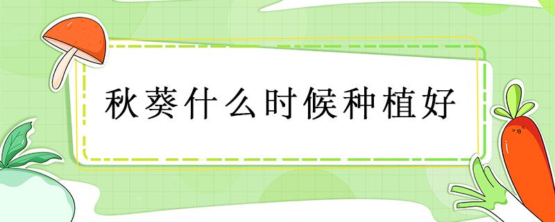 秋葵什么时候种植好 秋葵什么时候种植最好怎么种