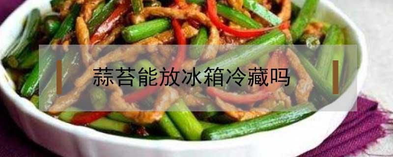 蒜苔能放冰箱冷藏吗(蒜苔可以冷藏吗)
