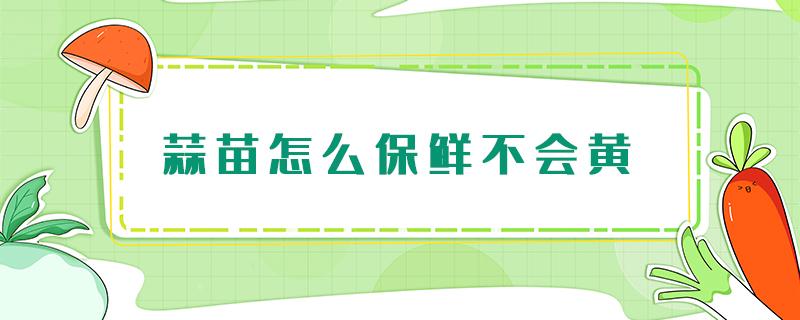 蒜苗怎么保鲜不会黄（蒜苗怎么保存不会变黄）