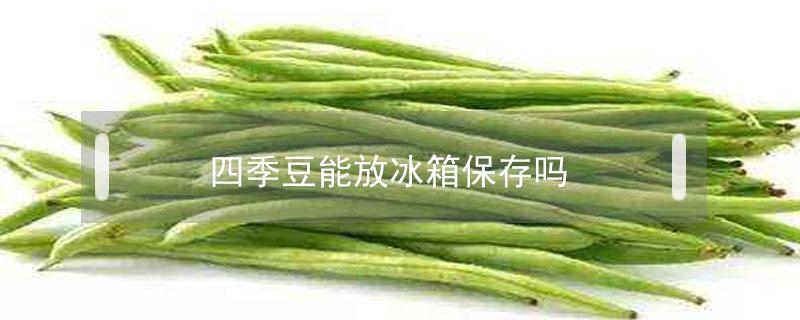 四季豆能放冰箱保存吗 四季豆可以放冰箱保鲜吗