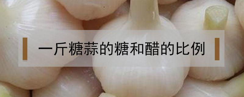 一斤糖蒜的糖和醋比例 一斤醋多少糖